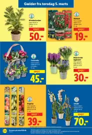 Lidl tilbudsavis uge 10 Side 32
