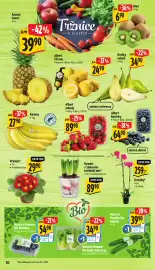 Albert leták týden 9 Strana 16