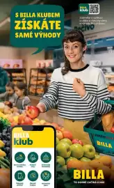 Billa leták týden 9 Strana 31