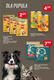 Lewiatan gazetka tydzień 9 Strona 15