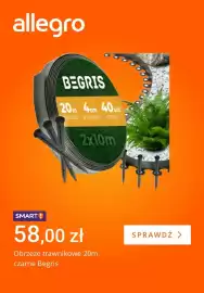 Allegro gazetka tydzień 9 Strona 5