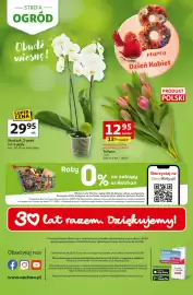 Auchan gazetka tydzień 9 Strona 45