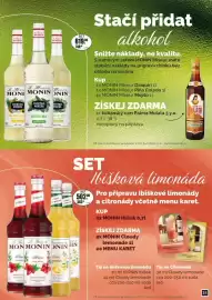 Adam leták Strana 31