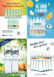 Adam leták Strana 46