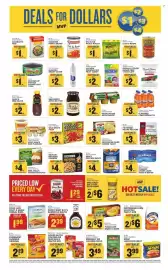 Food Lion weekly ad week 9 Page 5