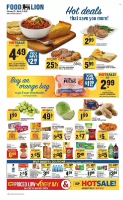 Food Lion weekly ad