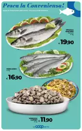 Volantino Ipercoop Radenza Pagina 25