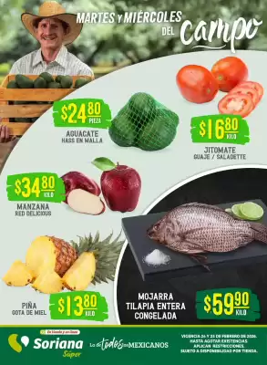Catálogo Soriana Súper (válido hasta 25-02)
