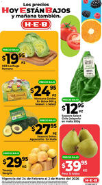 Folleto HEB semana 9 Página 2