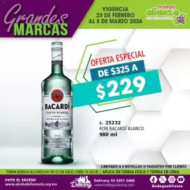 Folleto Bodegas Alianza Página 1