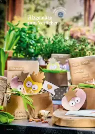 Pagro Diskont Flugblatt Seite 14