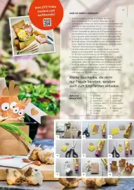 Pagro Diskont Flugblatt Seite 15