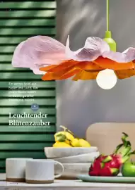 Pagro Diskont Flugblatt Seite 6