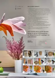 Pagro Diskont Flugblatt Seite 7