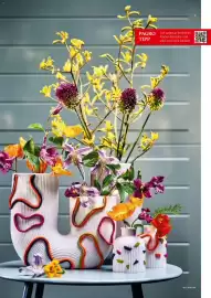 Pagro Diskont Flugblatt Seite 9