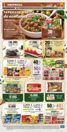 Catálogo Jumbo Página 5