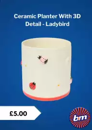 B&M Stores leaflet Page 4