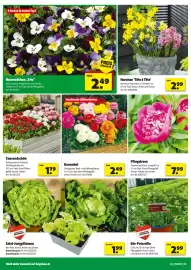 Liebmarkt Prospekt Seite 2