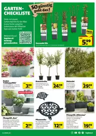 Liebmarkt Prospekt Seite 3