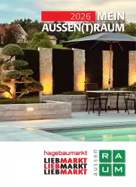 Liebmarkt Prospekt Seite 1