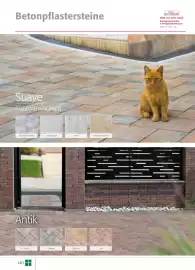 Liebmarkt Prospekt Seite 142