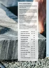 Liebmarkt Prospekt Seite 151