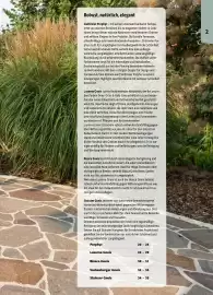 Liebmarkt Prospekt Seite 21