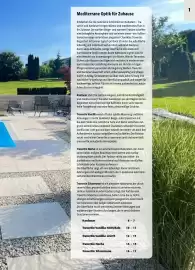 Liebmarkt Prospekt Seite 7