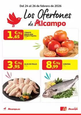 Folleto Alcampo (válido hasta el 26-02)