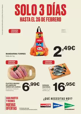 Catálogo Hipercor (válido hasta el 26-02)
