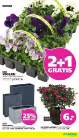 Ranzijn folder Pagina 2