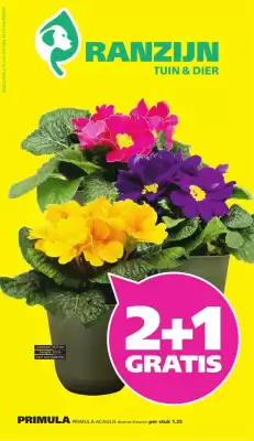 Ranzijn folder (geldig t/m 7-03)