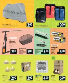 Famila Nord Ost Prospekt woche 10 Seite 21