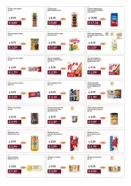 Volantino Prezzemolo e Vitale Pagina 13