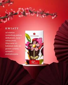 Chocolissimo gazetka Strona 2