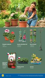 Lidl leták Strana 20