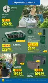 Lidl leták Strana 12