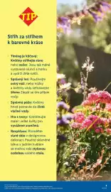 Lidl leták Strana 3