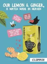 Boodschappen folder Pagina 31