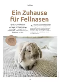 Budni Magazin Seite 38