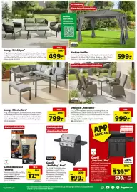 Hagebau Prospekt woche 9 Seite 17