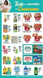 Folleto Arteli Página 1