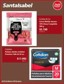 Catálogo Santa Isabel semana 9 Página 2