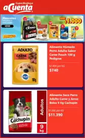 Catálogo Super Bodega a Cuenta Página 3