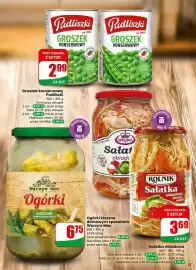 Dino gazetka tydzień 9 Strona 27