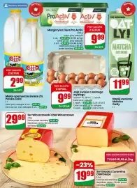 Dino gazetka tydzień 9 Strona 41