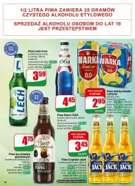 Dino gazetka tydzień 9 Strona 48