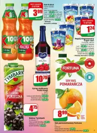 Dino gazetka tydzień 9 Strona 5