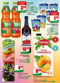 Dino gazetka tydzień 9 Strona 5