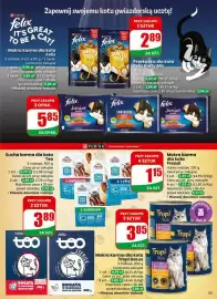 Dino gazetka tydzień 9 Strona 53